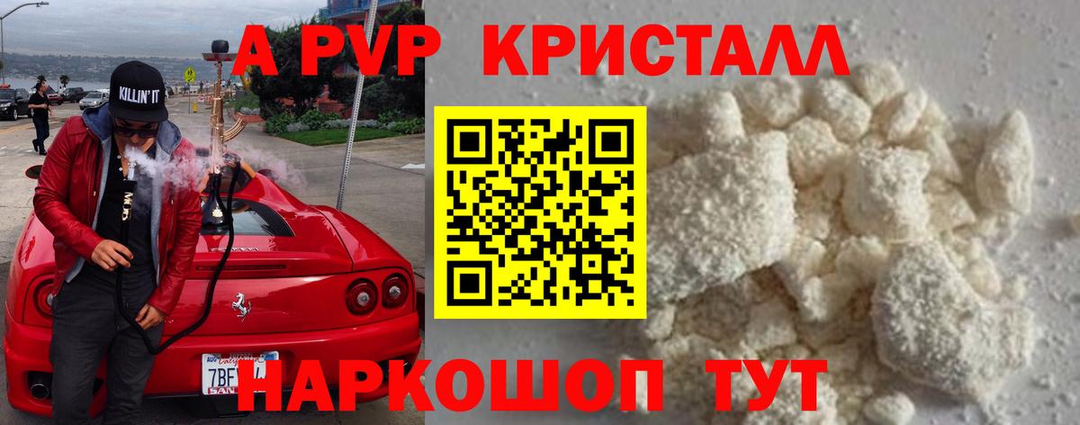 A PVP СК КРИС Долгопрудный