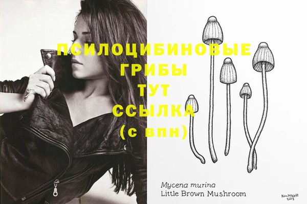 МДПВ Балабаново