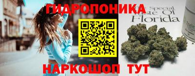 шишки Гусиноозёрск