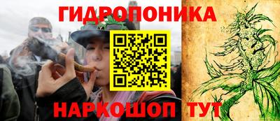 шишки Гусиноозёрск