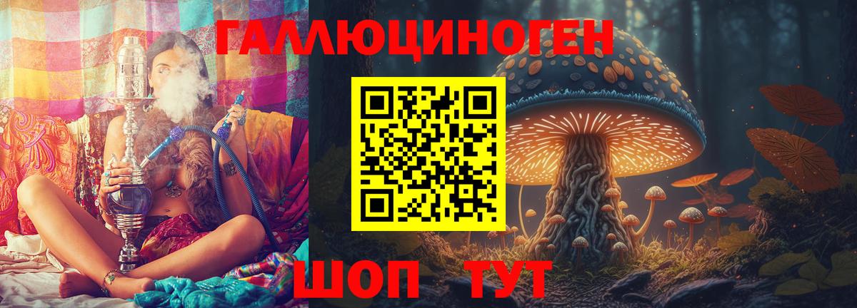 Долгопрудный  Псилоцибиновые грибы ЛСД  Вход с VPN 