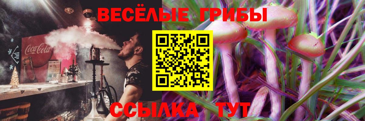 Галлюциногенные грибы ЛСД Долгопрудный