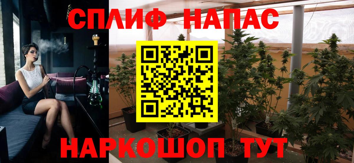Шишки марихуана планчик Долгопрудный